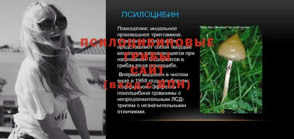 тгк Зеленокумск
