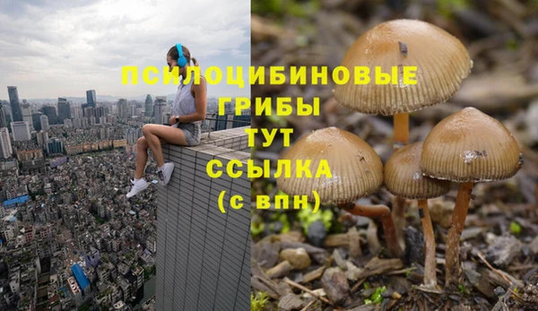 тгк Зеленокумск