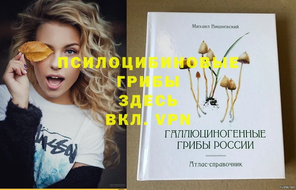 герыч Зеленодольск