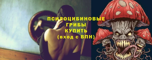 тгк Зеленокумск
