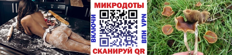 Галлюциногенные грибы ЛСД  Купить закладки  Горнозаводск 